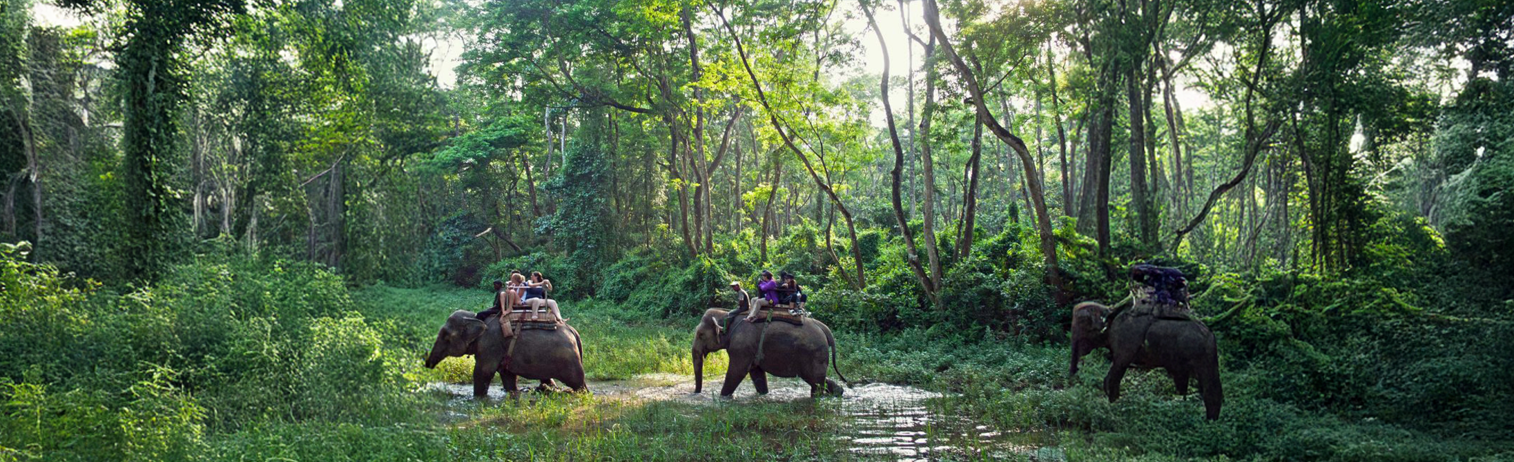 Bardiya-national-park: Nepal’s Untamed Wilderness