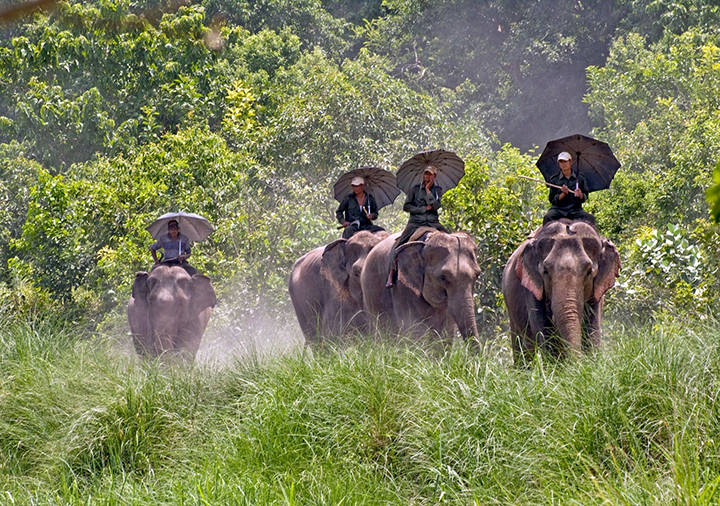 Bardiya National Park