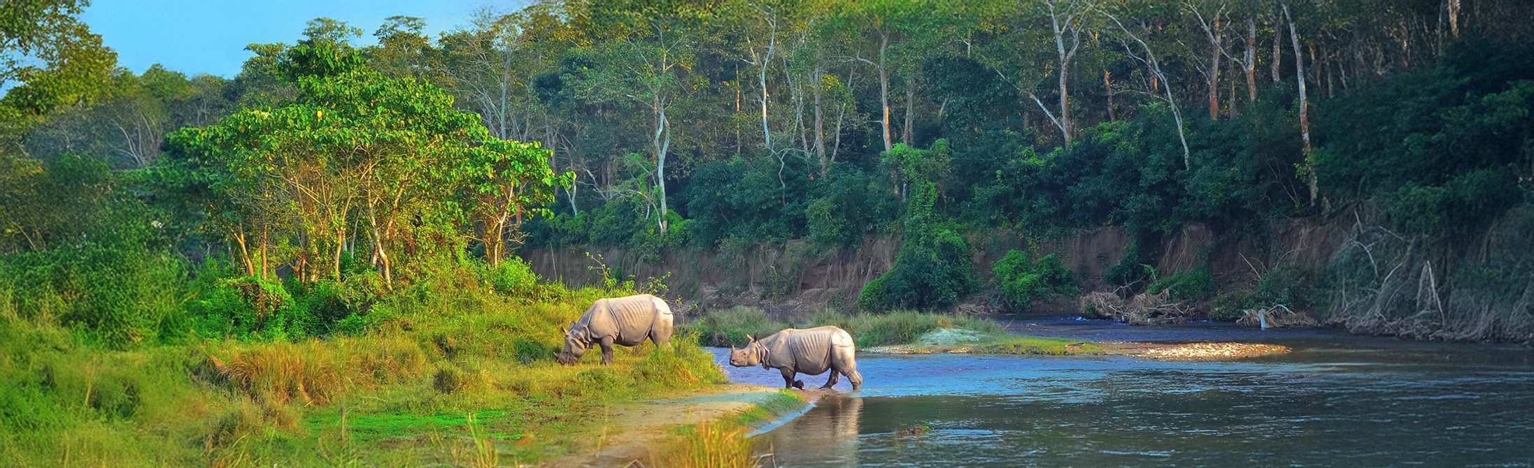 Chitwan-national-park: Nepal’s Wildlife Paradise
