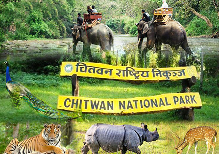 Chitwan National Park