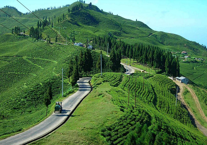 Illam