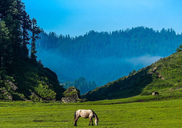 Khaptad National Park